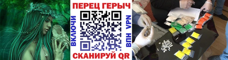 ГЕРОИН Афган  blacksprut ссылки  Берёзовка  где продают  
