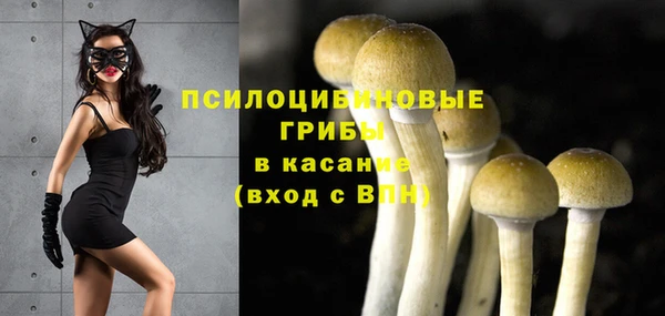 круглые Аркадак