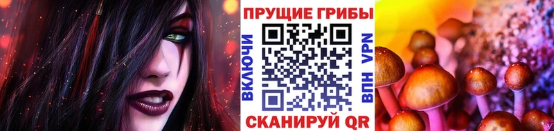 МЕГА ссылка  Берёзовка  Галлюциногенные грибы ЛСД  закладки 